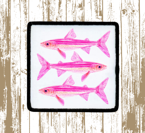 Coquette Pink Sardine Patch