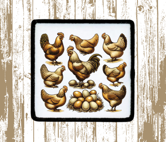 Coquette Chicken Patch