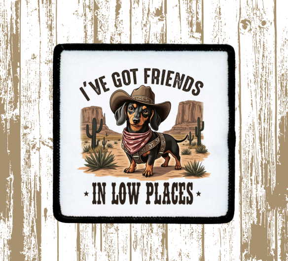 Friends in Low Places Patch